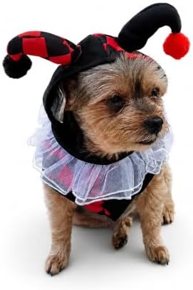Court Jester Pet Halloween Costume with Hood - Small to Medium-Large Breed Funny Clothes Outfit Apparel (Large) - Image 2