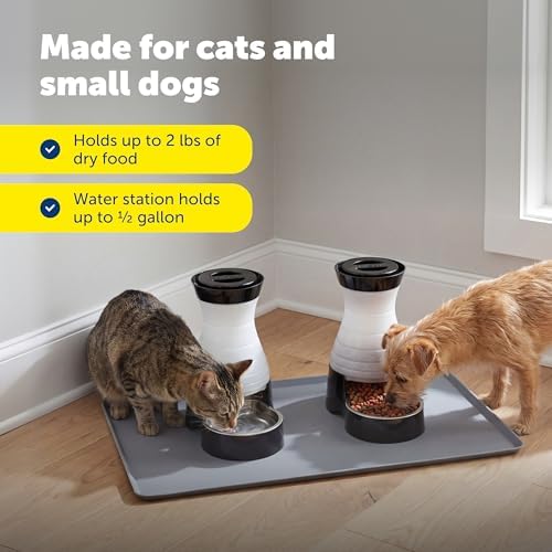 PetSafe Healthy Pet Food & Water Station, Small, 2 lb Food, 64 oz Water