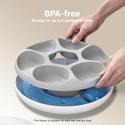iPettie Donut Frost WiFi 6 Meal Automatic Wet Food Feeder with Ice Packs