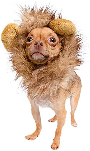 Pet Krewe Dog Lion Mane Halloween Costume – Fits Neck Size 8”- 14”- Lion Mane for Small Dogs – Ideal for Halloween, Birthday, Cosplay, Outfits, Pet Clothes by PetKreweUnleashtheParade