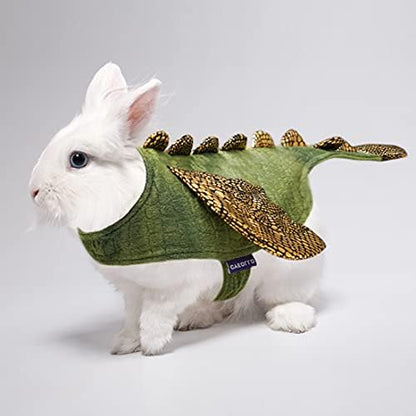 cyeollo Dinosaur Halloween Costume for Rabbit Bunny Puppy Kitten 2lb to 4lb - Image 4