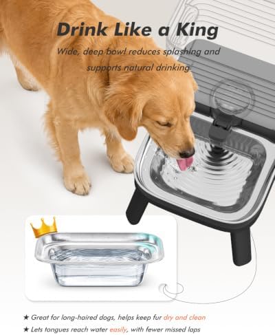 Water Bowl Dispenser for Medium & Small Dogs with Patent Faucet, 3.2 Gallon