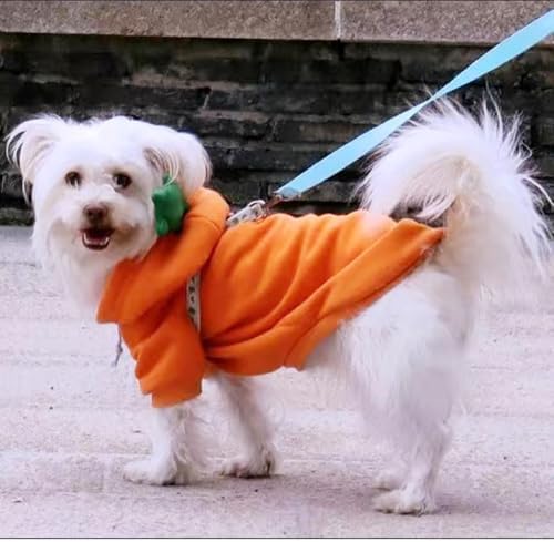 Happy Dog Hoodies - Funny Puppy Clothes for Small Dogs & Cats - Hooded Sweatshirt Coat - Winter & Easter Outfit - Carrot Costume for Chihuahua, Pomeranian, Yorkie (Orange, Small) - Image 5