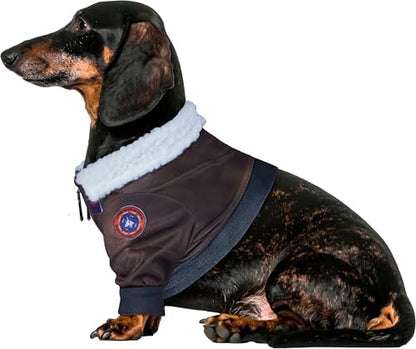 Rubies Top Gun: Maverick Pet Costume for for Dogs or Cats, Large - Image 3