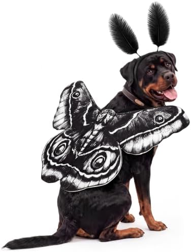 Tallew 2 Pcs Dog Halloween Costumes Moth Butterfly Wings,L,Black,White by Tallew