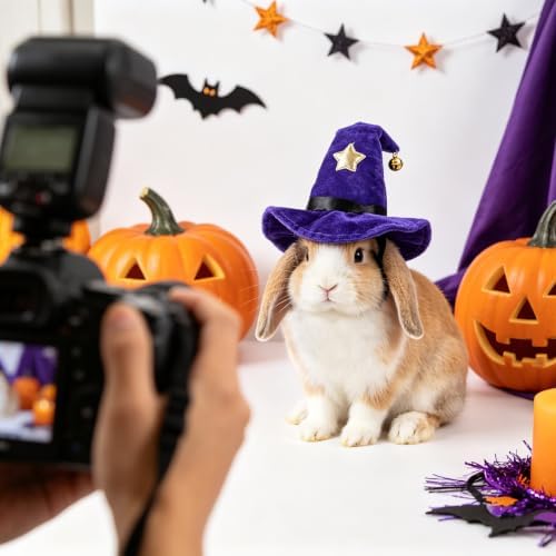 NAMSAN Pet Witch Costume for Cats Small Dogs Rabbits, Halloween Cat Wizard Hat, Small Dog Witch Hat, Halloween Cat Sorcerer Outfit for Holiday Party Cosplay Statue Decoration - Image 5