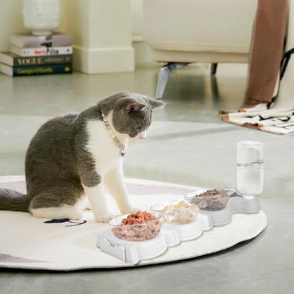 Yummy Sam 15° Tilted 4 in 1 Raised Four Cat Dishes for Food and Water
