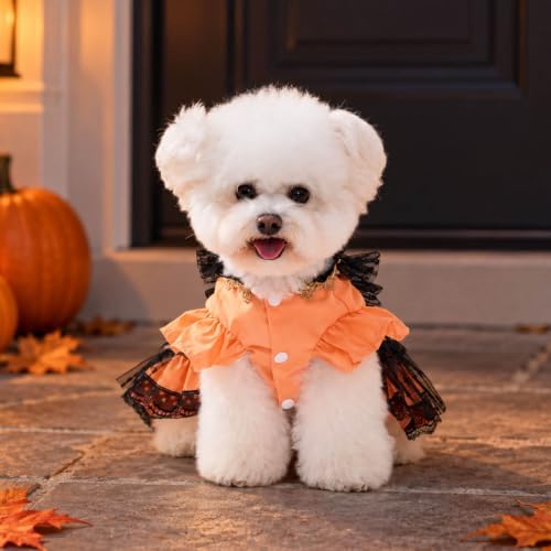 Halloween Dog Dress for Small Dogs Girl, Gothic Pumpkin Princess Puppy Costume with Orange Black Lace Mesh Skirt, Cute Halloween Pet Outfit for Photos(XXL) - Image 5