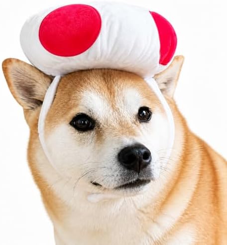 ComfyCamper Dog Mushroom Hat - Cottagecore Cosplay Halloween Costumes, L by ComfyCamper