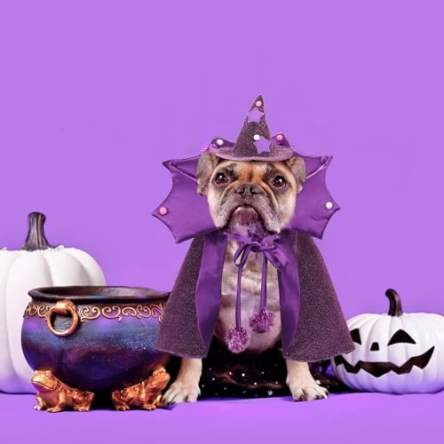 ADOGGYGO Halloween Dog Witch Costume, Purple Witch Hat and Cape Set - Image 2