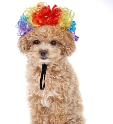 1pcs Funny Pets Wigs for Dog, Funny Rainbow Curly Dog Wig Adjustable Pet Wigs for Halloween Pet Cat Decoration Accessories for Halloween, Christmas, Parties Cosplay - Image 6