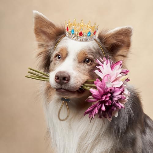 Abbylike Halloween Dog Princess Crown Queen Costume for Pet Cat, M - Image 5