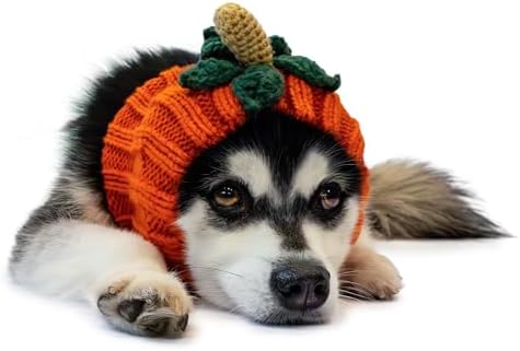 Zoo Snoods Pumpkin Dog Costume - Warm Crochet Snood Wrap for Pets, Neck Ear Cover Protection, Halloween Winter (Medium) by ZooSnoods