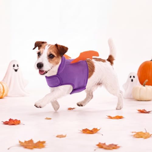 PUMYPOREITY Cat Halloween Costume with Bat Wings, Fleece Dog Costume - Image 4