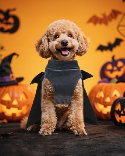 CuteBone Dog Halloween Costumes for Small, Medium, Large Dogs – Batman Pet Cosplay Outfits | Cute Puppy Costume for Halloween Party, Dress-Up, Photo Shoots GBZ02S - Image 5
