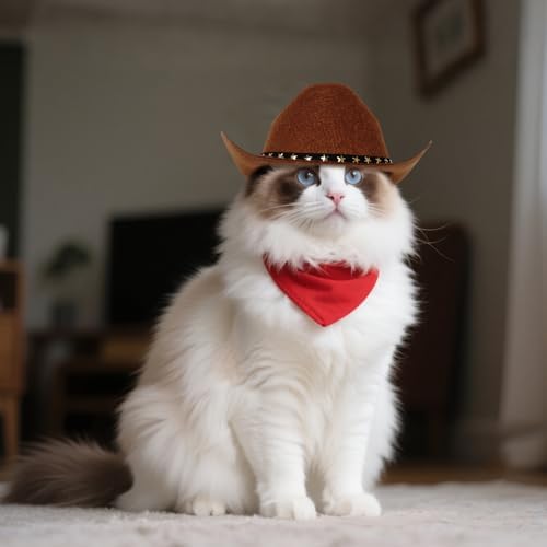 choyaxo Pet Cowboy Costume Cosplay Cap Halloween Costumes for Dogs Cat Pet Party Decoration Mini Cowboy Hat (Brown, Large) - Image 3