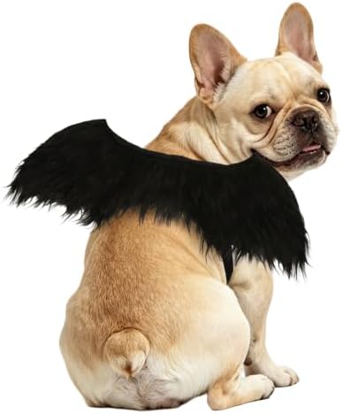 ADOGGYGO Halloween Angel Dog Costume, Black Faux Fur Dark Angel Wings, M by ADOGGYGO