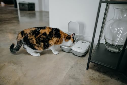 Cat Mate 2-Meal Automatic Feeder, 400g Per Bowl, Wet & Dry Food, White