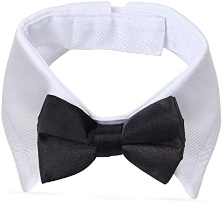 Yewong 2-Piece Pet Formal Accessories Set - Top Hat with Formal Necktie/Bowtie for Dog Cat (Bowtie Collar) - Image 4