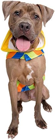 Pet Krewe Large Bert Costume - Sesame Street Bert Dog Costume - Fits Small, Medium, Large and Extra Large Pets -Perfect for Halloween, Christmas Holiday, Parties, Photoshoots, Gifts for Dog Lovers - Image 3