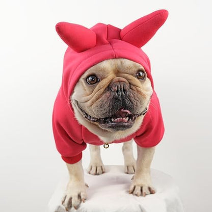 French Bulldog Halloween Dog Costume Sweater - Image 4