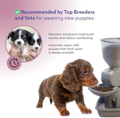 Feeding Friend® Automatic Dog & Cat Food Feeder with Water Dispenser, Portion Control, OLED Display, Anti-Jam Design, Battery Operated, for Pets 4–15 lb, Taupe