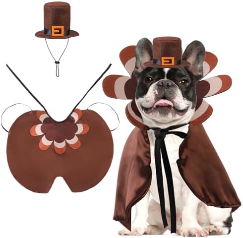 KOOLTAIL Dog Thanksgiving Costume, Thanksgiving Turkey Cape and Hat Set for Small Medium Large Dogs Cats Puppy, Funny Dog Witch Clothes Cosplay Dress Wizard Outfit Mantle Apparel for Holiday Party L by KOOLTAIL