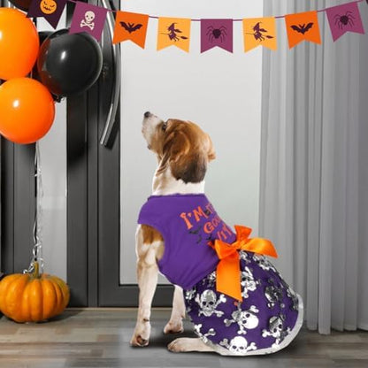 Dog Halloween Costumes Dog Dress Halloween Costumes for Dogs Funny Puppy Dress with Bow for Small Medium Large Dogs Pumpkin Witch Bat Pet Costume Halloween - Image 2