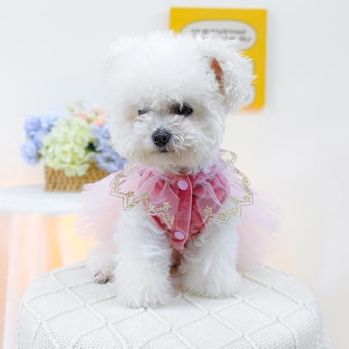 Fashion Sweet Puppy Dog Blingbling Princess Skirt Pet Dog Lace Cake Camisole Tutu Dress D-red XS - Image 5