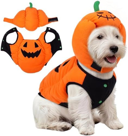 FUAMEY Dog Pumpkin Costume, Pet Halloween Costumes Coat Hat Set by FUAMEY