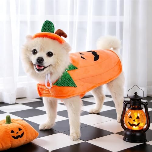 Yoption Halloween Dog Pumpkin Costumes with Hat for Dogs Cats, X-Large - Image 4