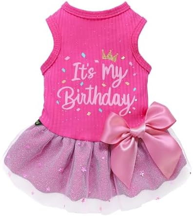 Fitwarm It's My Birthday Dog Dress - Pink Bowknot Dog Clothes for Small Female Puppy, XXS by Fitwarm