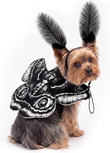 Tallew 2 Pcs Dog Halloween Costumes Moth Butterfly,S,Black,White by Tallew