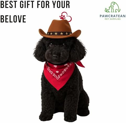 Pet Custom Dog Custom Cat Custom Hoodie, Sporty Look, Funny Gift, Halloween Holiday (Cowboy Set, One Size) - Image 7