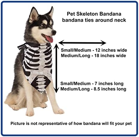 Rubies Skeleton Pet Bandana for Dogs or Cats, S/M - Image 2