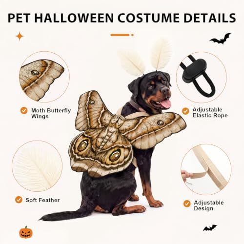Tallew 2 Pcs Dog Halloween Costumes Moth Butterfly,L,Grayish White - Image 2