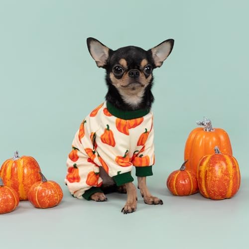 Fitwarm Pumpkin Dog Pajamas, Thanksgiving Outfit for Small Dogs Boy Girl, Fall Pet Clothes, Beige, Orange, Green, Medium - Image 3