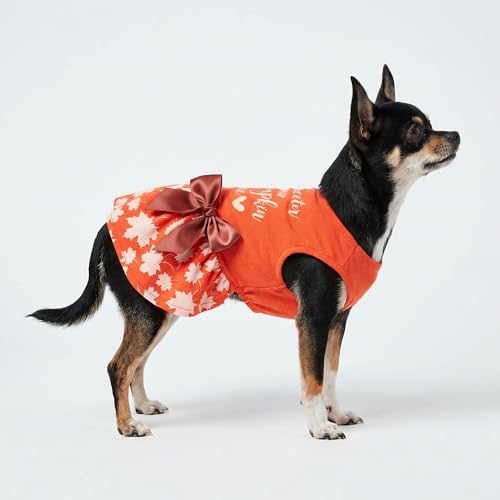 Fitwarm Thanksgiving Sweeter Than Pumpkin Pie Dog Dress 100% Cotton Puppy Costumes Pet Clothes Holiday Girl One-Piece Doggy Outfits Tank Top Vest Dresses Cat Apparel Orange XXS - Image 4
