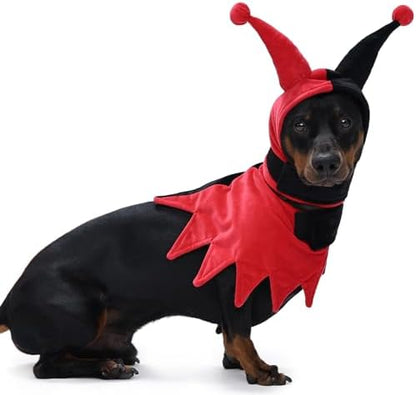 Lelepet Dog Halloween Costume with Hat & Cloak Funny Halloween Pet Outfit by LeLePet