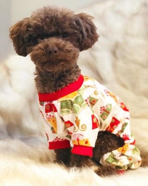 CuteBone Small Dogs Christmas Outfit Soft Puppy Onesies Pjs Dog Pajamas Pet Coat Cat Apparel Comfy Doggie Jumpsuit Bodysuit for All Seasons - Image 5