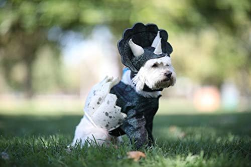 California Costumes California Costume Collections Pet Dino PUP Dog Costumes, Dark Green, XS Neck 10-12 Girth 12-16 Back 8 US - Image 3