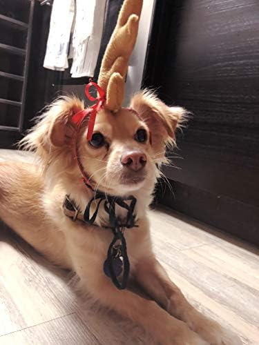 ComfyCamper Reindeer Antler Dog Halloween Costume - Headband Cosplay Christmas Small Medium Large X-Large Puppy Cat, M - Image 3