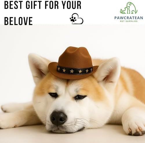Custom Dog Cat Hoodie, Cowboy Hat, One Size - Image 5