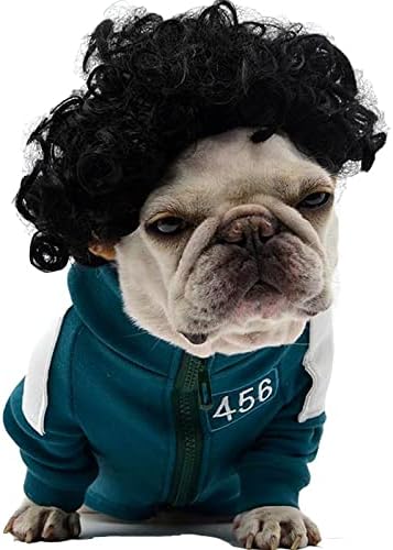 pet k9 Funny Dog Cat Cosplay Wig, Pet Costumes, Cat Dress up for Halloween, Christmas, Parties, Festivals, Dog Wigs for Small Medium and Large Sized Dogs (Black Curly Hair) by Unknown
