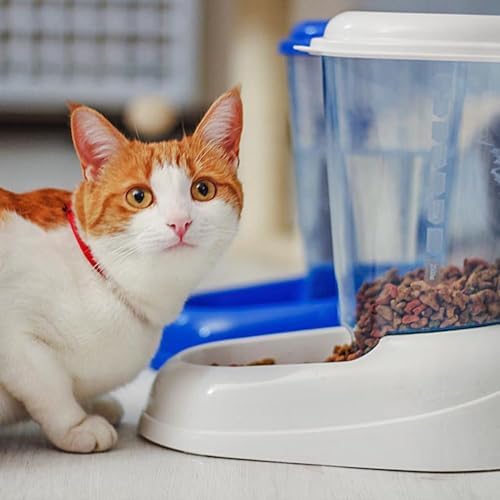Ferplast Dry Food Dispenser for Dogs and Cats 3 Liter Zenith Practical pet Feeder Food Dispenser Biscuits for Animals, Transparent Tank with lid, Non-Slip Bottom, 20,2 x 29,2 x h 28,8 cm Blue