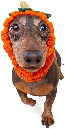 Zoo Snoods Pumpkin Dog Costume - Warm Crochet Snood Wrap for Pets, Neck Ear Cover Protection, Halloween Winter (Small) by ZooSnoods
