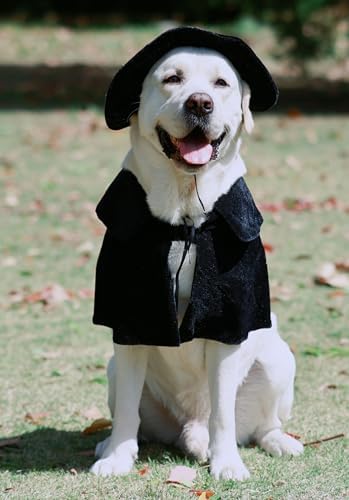 Hooded Cloak Witch/Wizard Costume for Large Pets, Dog Halloween Costume Hat and Cloak, Dog Witch Costumes Large by Lanyarco