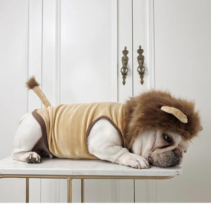 Lion Pet Costume for French Bulldog, Funny Lion Outfit, Dog & Cat Party Clothes, Halloween Cosplay (M, Lion) - Image 4