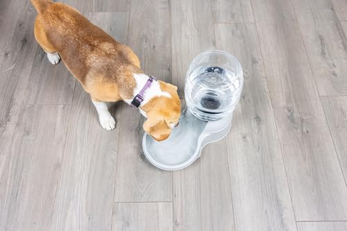 Petmate Aspen Pet Lebistro Water Dispenser for Cats and Dogs, 1 Gal Size