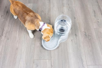 Petmate Aspen Pet Lebistro Water Dispenser for Cats and Dogs, 1 Gal Size